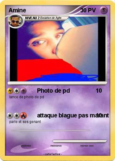 Pokemon Amine