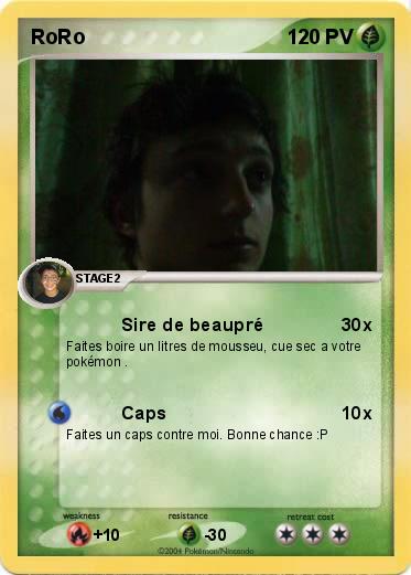 Pokemon RoRo 