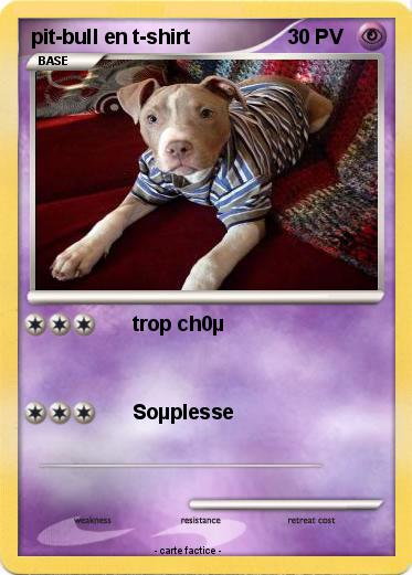 Pokemon pit-bull en t-shirt