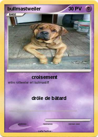 Pokemon bullmastweiler