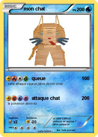 Pokemon mon chat