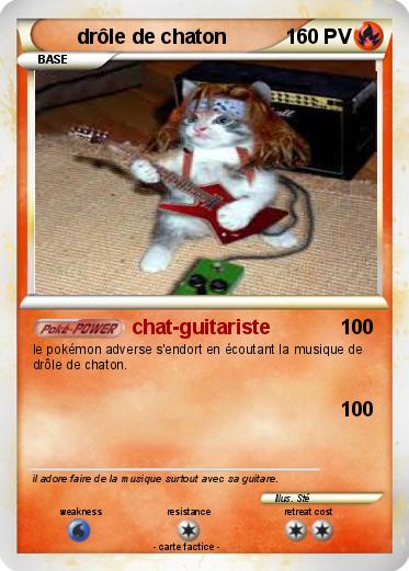 Pokemon drôle de chaton