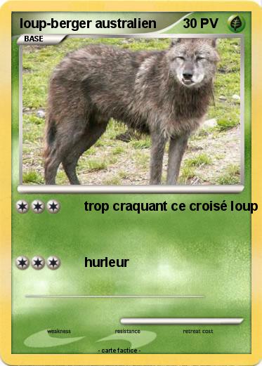Pokemon loup-berger australien