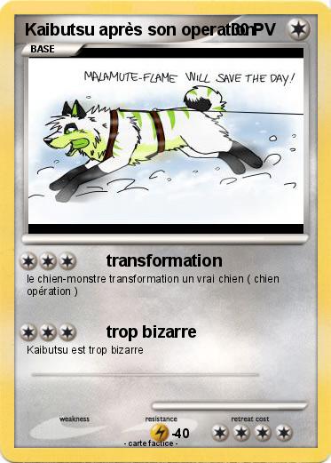 Pokemon Kaibutsu après son operation