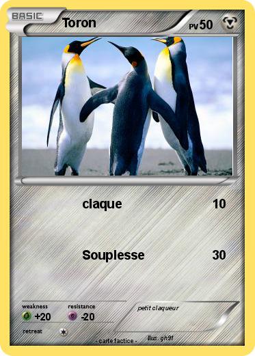 Pokemon Toron