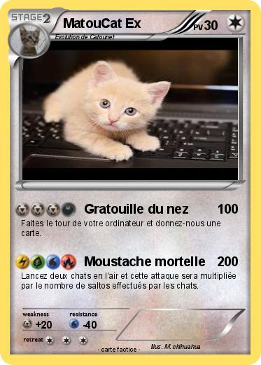 Pokemon MatouCat Ex