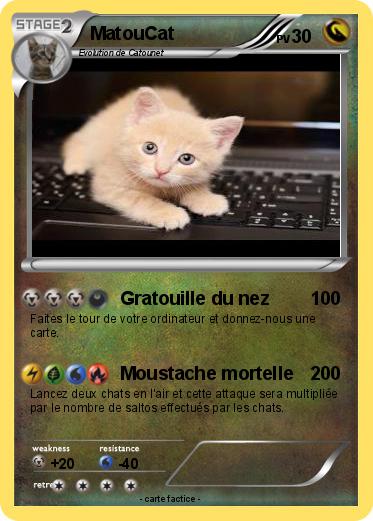 Pokemon MatouCat