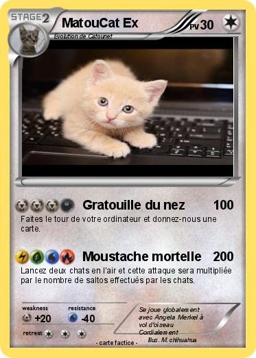 Pokemon MatouCat Ex