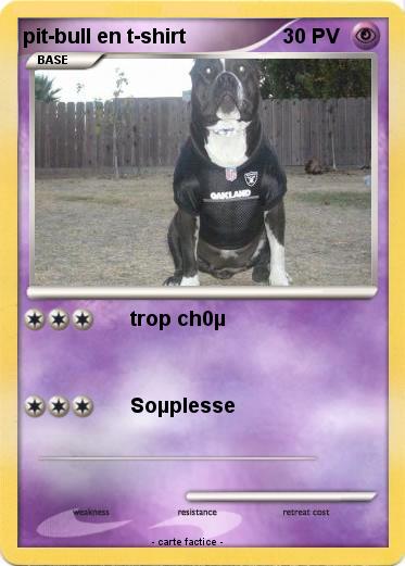Pokemon pit-bull en t-shirt