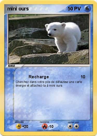 Pokemon mini ours