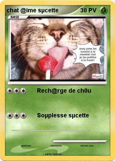 Pokemon chat @ime sµcette