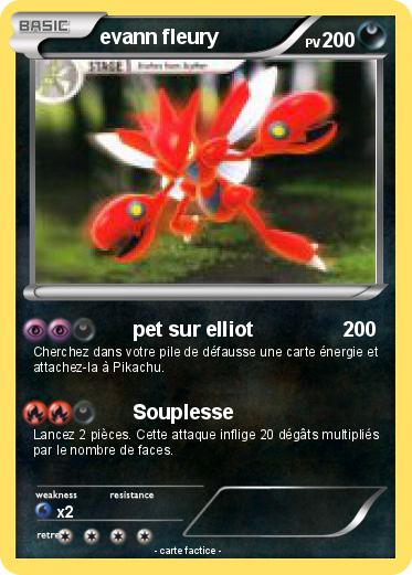 Pokemon evann fleury