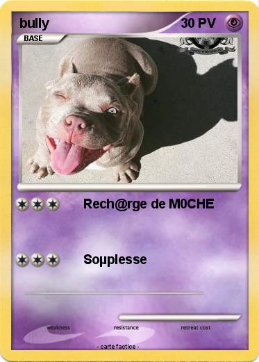 Pokemon bully