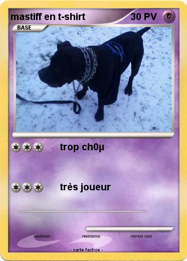 Pokemon mastiff en t-shirt
