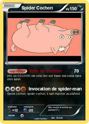 Pokemon Spider Cochon
