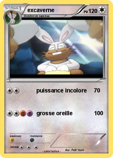 Pokemon excaverne