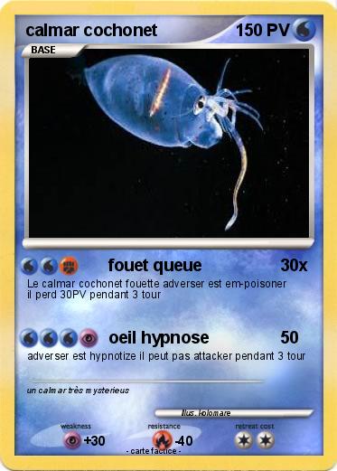 Pokemon calmar cochonet