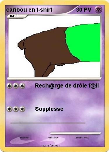 Pokemon caribou en t-shirt