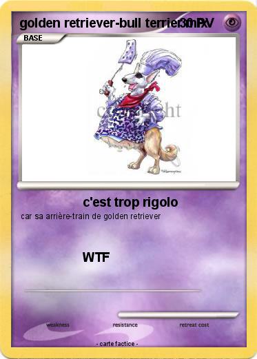 Pokemon golden retriever-bull terrier mix