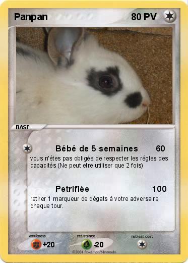 Pokemon Panpan