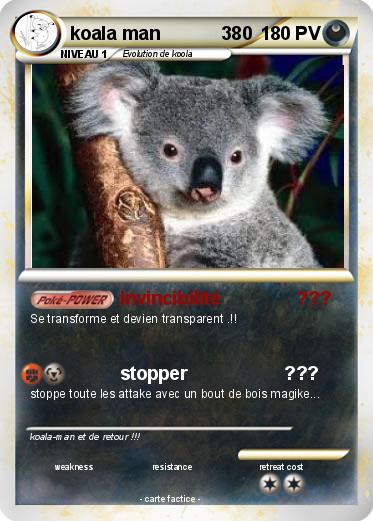 Pokemon koala man            380