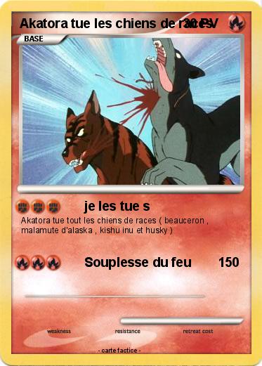Pokemon Akatora tue les chiens de races