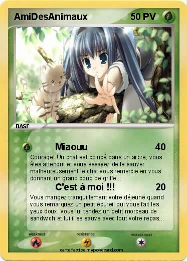Pokemon AmiDesAnimaux