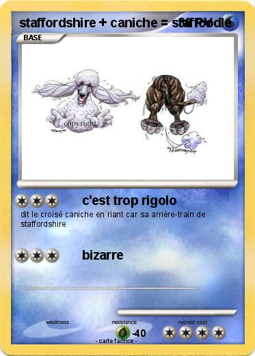 Pokemon staffordshire + caniche = staffoodle