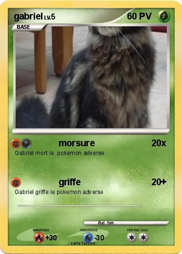 Pokemon gabriel