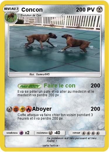 Pokemon Concon