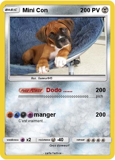 Pokemon Mini Con