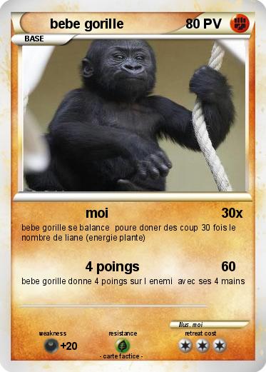 Pokemon bebe gorille