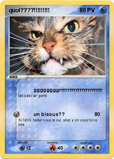 Pokemon quoi????!!!!!!!!!