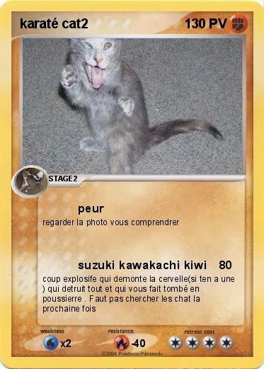 Pokemon karaté cat2