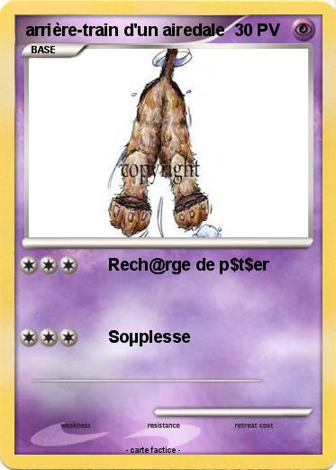 Pokemon arrière-train d'un airedale