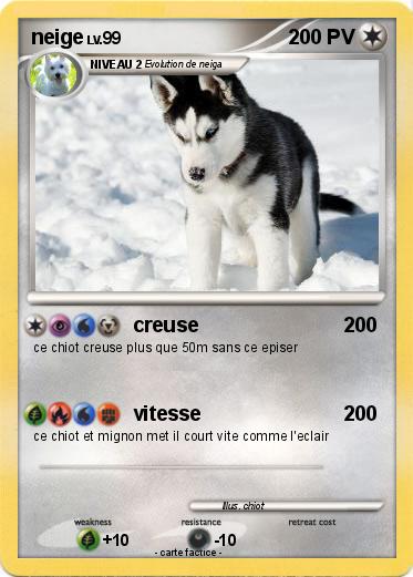 Pokemon neige