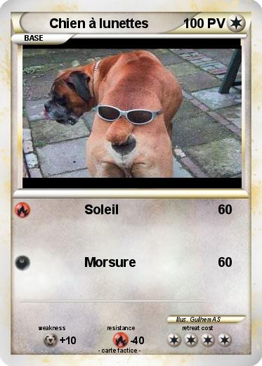 Pokemon Chien à lunettes