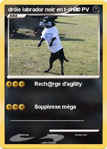 Pokemon drôle labrador noir en t-shirt