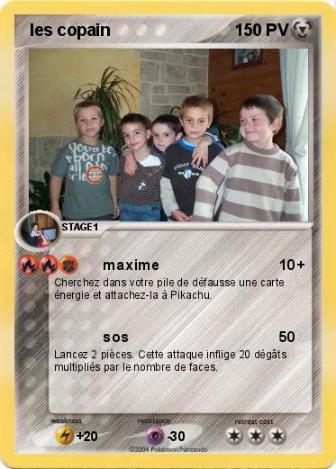 Pokemon  les copain