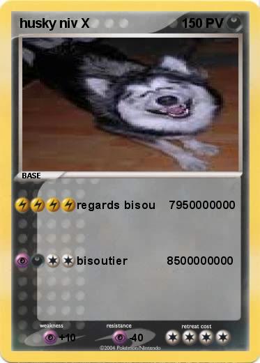 Pokemon husky niv X