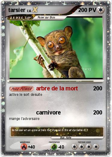 Pokemon tarsier