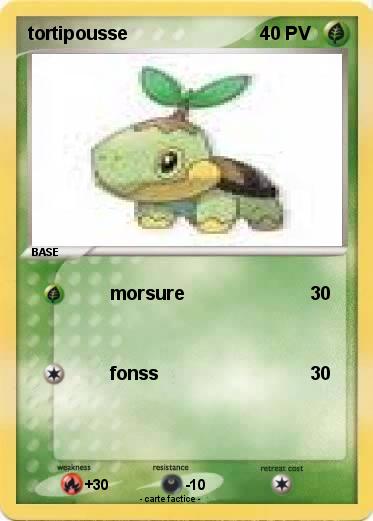 Pokemon tortipousse