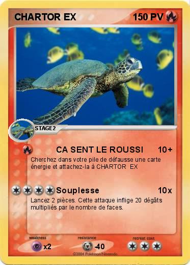 Pokemon CHARTOR EX