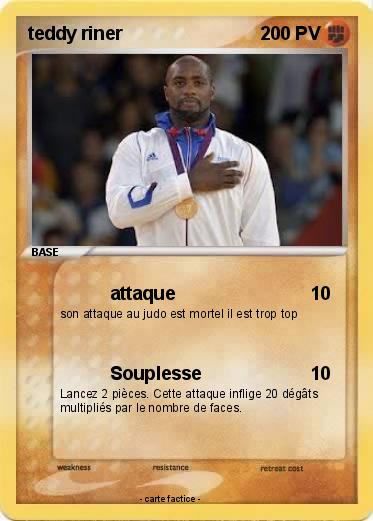Pokemon teddy riner
