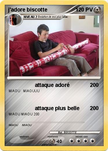 Pokemon j'adore biscotte