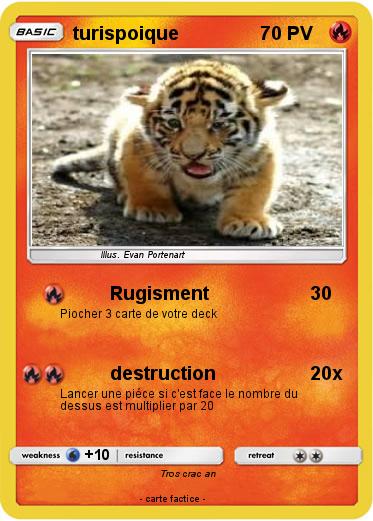 Pokemon turispoique