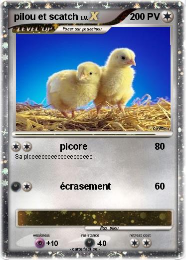 Pokemon pilou et scatch