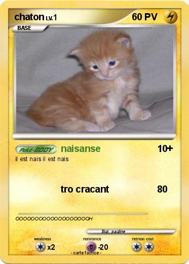 Pokemon chaton