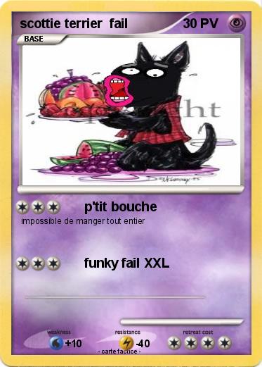 Pokemon scottie terrier  fail