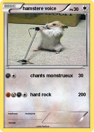 Pokemon hamstere voice